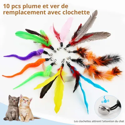 Jouet à Plumes pour Chats 12 PCS jouets interactifs Jouet à Plumes pour Chats 12 PCS jouets interactifs