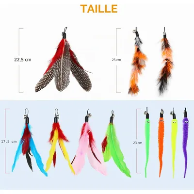 Jouet à Plumes pour Chats 12 PCS jouets interactifs Jouet à Plumes pour Chats 12 PCS jouets interactifs