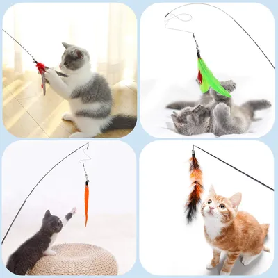 Jouet à Plumes pour Chats 12 PCS jouets interactifs Jouet à Plumes pour Chats 12 PCS jouets interactifs