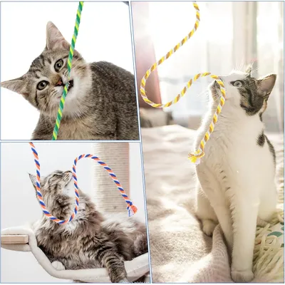 Lot de 3 Baguettes à Plumes pour Chat - Jouet Interactif avec Corde Colorée Lot de 3 Baguettes à Plumes pour Chat - Jouet Interactif avec Corde Colorée