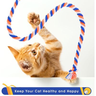 Lot de 3 Baguettes à Plumes pour Chat - Jouet Interactif avec Corde Colorée