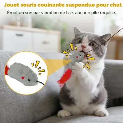 3pcs Porte Suspendue Souris Jouet Chat, Jouets Interactifs pour Chats