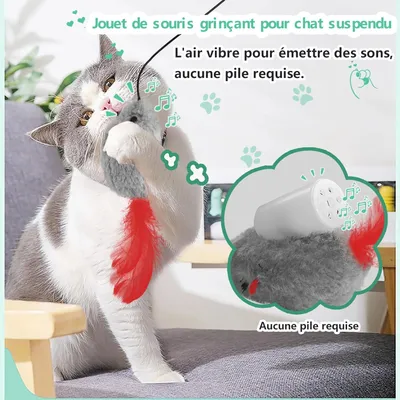 2Pcs Chat Jouet Interactif Souris Suspendue avec Queue à Plumes
