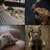 Lot de 4 jouets à mâcher pour chat. Contient 4 bâtonnets à mâcher Lot de 4 jouets à mâcher pour chat. Contient 4 bâtonnets à mâcher