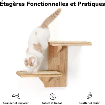 Étagères Murales pour Chat, 2 Plateformes