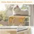 Pecute Hamac Chat Fenetre Observation des Oiseaux