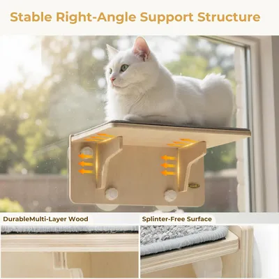 Pecute Hamac Chat Fenetre Observation des Oiseaux
