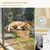 Pecute Hamac Chat Fenetre Observation des Oiseaux