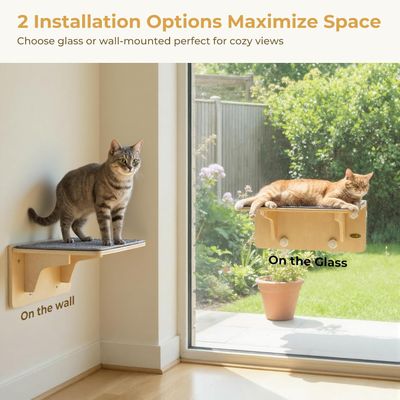 Pecute Hamac Chat Fenetre Observation des Oiseaux