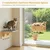 Pecute Hamac Chat Fenetre Observation des Oiseaux