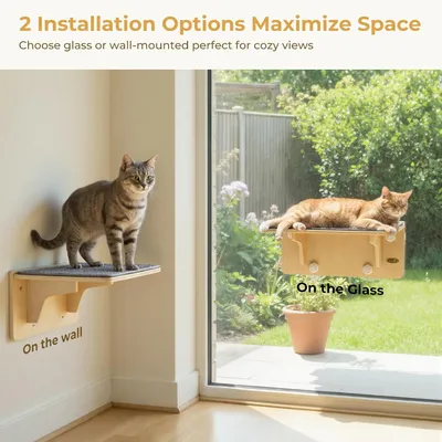 Pecute Hamac Chat Fenetre Observation des Oiseaux