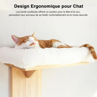 Étagères Murales pour Chat, 2 Plateformes Étagères Murales pour Chat, 2 Plateformes