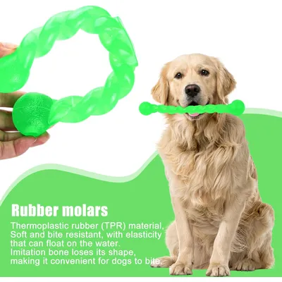 Jouet pour Chien en Caoutchouc, Chien Jouet Interactif