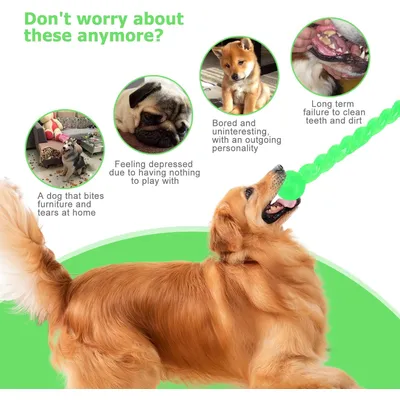 Jouet pour Chien en Caoutchouc, Chien Jouet Interactif