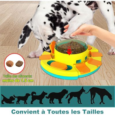 Nouveau jouet intelligent pour chiens.