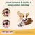 Jouet à Mâcher pour Chien, Jouets pour Chien en Silicone