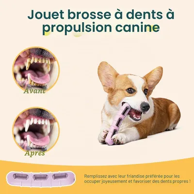 Jouet à Mâcher pour Chien, Jouets pour Chien en Silicone