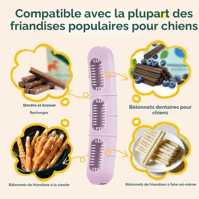 Jouet à Mâcher pour Chien, Jouets pour Chien en Silicone