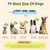 Jouet à Mâcher pour Chien, Jouets pour Chien en Silicone