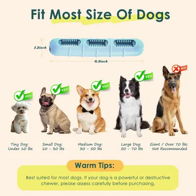 Jouet à Mâcher pour Chien, Jouets pour Chien en Silicone