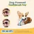 Jouet à Mâcher pour Chien, Jouets pour Chien en Silicone