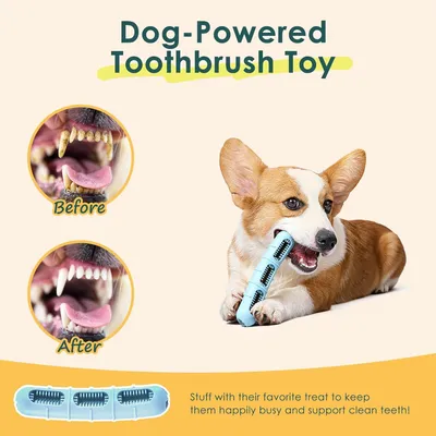 Jouet à Mâcher pour Chien, Jouets pour Chien en Silicone