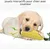 Jouet pour Chien, Jouet Chien Indestructible