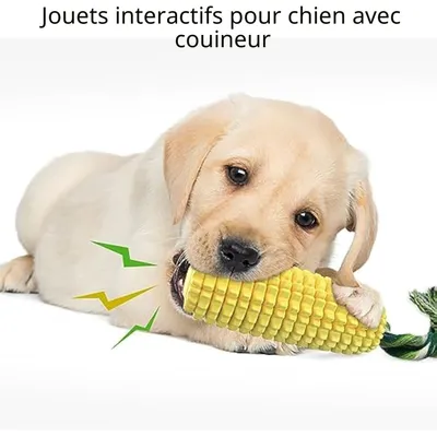 Jouet pour Chien, Jouet Chien Indestructible