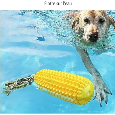 Jouet pour Chien, Jouet Chien Indestructible