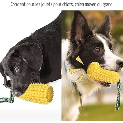 Jouet pour Chien, Jouet Chien Indestructible