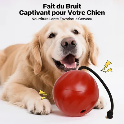Jouet pour Chien avec Corde - Balle de Nourriture à Libération