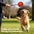 Jouet pour Chien avec Corde - Balle de Nourriture à Libération