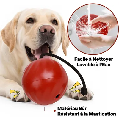 Jouet pour Chien avec Corde - Balle de Nourriture à Libération