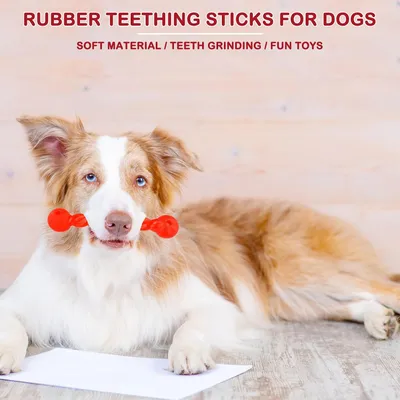 Jouet pour Chien en Caoutchouc, Chien Jouet Interactif