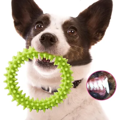 Lot de 3 Jouets à Mâcher en Caoutchouc pour Chiots et Chiens | Interactifs Lot de 3 Jouets à Mâcher en Caoutchouc pour Chiots et Chiens | Interactifs