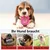 Lot de 3 Jouets à Mâcher en Caoutchouc pour Chiots et Chiens | Interactifs Lot de 3 Jouets à Mâcher en Caoutchouc pour Chiots et Chiens | Interactifs