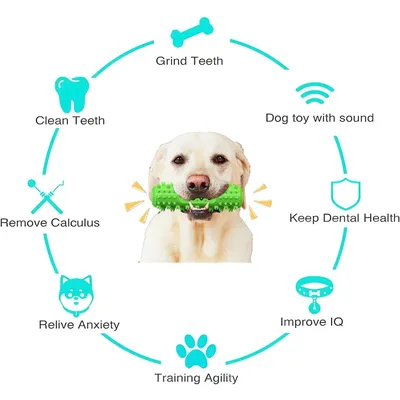 Jouet Chien Indestructible et Resistants Interactif