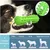 Jouet Chien Indestructible et Resistants Interactif