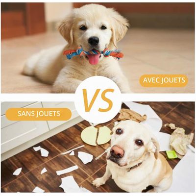 Lot de 7 jouets pour chien comprend de jolis jouets couineurs en peluche