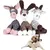 3 PCS Jouet pour Chien Jouets Couineur pour Chien, Jouet Peluche 3 PCS Jouet pour Chien Jouets Couineur pour Chien, Jouet Peluche