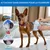 Couches pour Chiens Mâles,20 pièces,Couches pour Chiens,Couche Couches pour Chiens Mâles,20 pièces,Couches pour Chiens,Couche