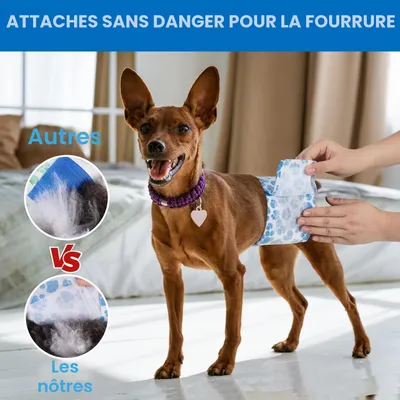 Couches pour Chiens Mâles,20 pièces,Couches pour Chiens,Couche Couches pour Chiens Mâles,20 pièces,Couches pour Chiens,Couche
