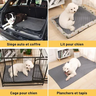 Lot de 2 gris,  tapis d'entraînement pour chien et chat