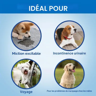 Lot de 20 Couches jetables pour Chien mâle Lot de 20 Couches jetables pour Chien mâle
