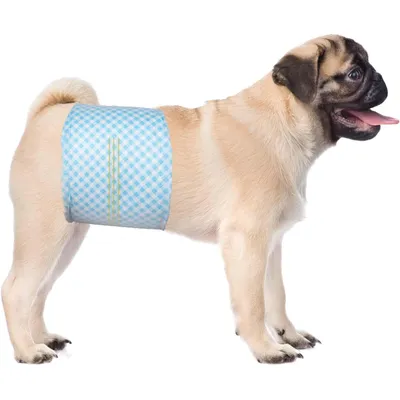 Lot de 20 Couches jetables pour Chien mâle Lot de 20 Couches jetables pour Chien mâle