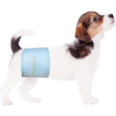 Lot de 20 Couches jetables pour Chien mâle