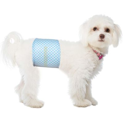 Lot de 20 Couches jetables pour Chien mâle