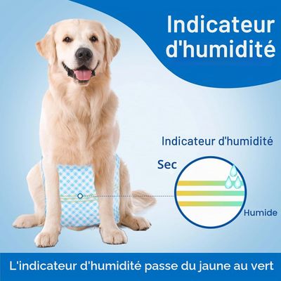 Lot de 20 Couches jetables pour Chien mâle