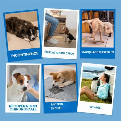 Couches pour Chiens Mâles,20 pièces,Couches pour Chiens,Couche Couches pour Chiens Mâles,20 pièces,Couches pour Chiens,Couche