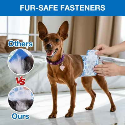 Couches pour Chiens Mâles,20 pièces,Couches pour Chiens,Couche